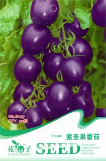Bag 25 Seeds Garden Heirloom Vegetable Cherokee Purple Blue Tomato