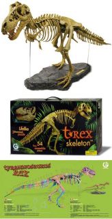 Rex Skeleton 1 10 Scale Geoworld Fossil Dinosaur Prehistoric