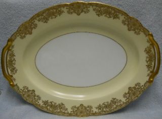 Noritake China Gastonia 98827 171 Pattern Small Oval Serving Platter
