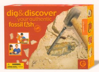  Authentic Fossil Fish Skeleton Geoworld Dinosaur Prehistoric Camp