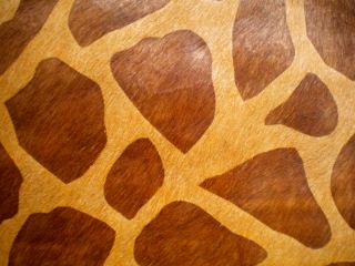 Giraffe Print Printed Cowhide Skin Rug Cow Hide Cheetah