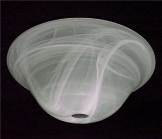 Glass 14 in Bowl Pendant Chandelier Floor Light Shade Ceiling Fan