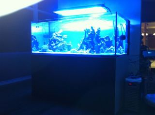 Elos 160XL Float Glass Aquarium System