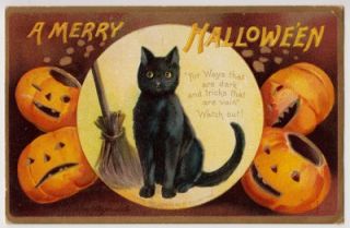 Halloween Signed Ellen Clapsaddle Black Cat in Moon Jack O Lanterns