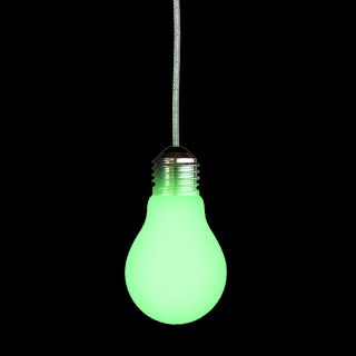 Glow in The Dark Light Bulb Pull Chain for Ceiling Mount Fan or Lamp