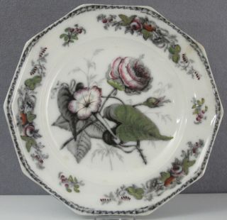  IRONSTONE PLATE 1800s HULME & BOOTH FLORA PATTERN GAUDY MULBERRY 10.5