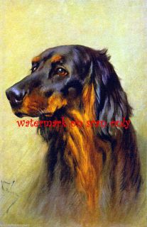 Vintage Art A Wardle Gordon Setter Dog Profile New Large Note Cards