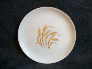 Homer Laughlin China Golden Wheat Luncheon Plate Unmarked