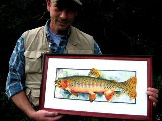 Framed Greenback Cutthroat Trout Print Tom Sasser Fly Fishing Art
