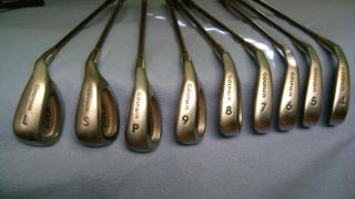 Goldwin Golf Club Set