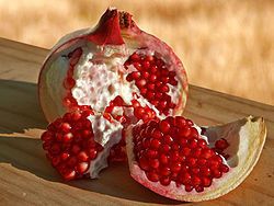 Pomegranate Wonderful tree, large red sweet fruit antioxidents fast