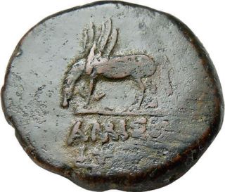 Pontus Amisos AE25MM Authentic Ancient Greek Coin