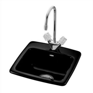 Gimlet 15 x 15 Self Rimming Entertainment Sink in Black Black with