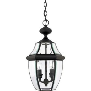 19 Newbury Outdoor Hanging Lantern in Mystic Black