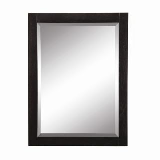 DecoLav Briana 24 x 1.5 x 32 Framed Mirror