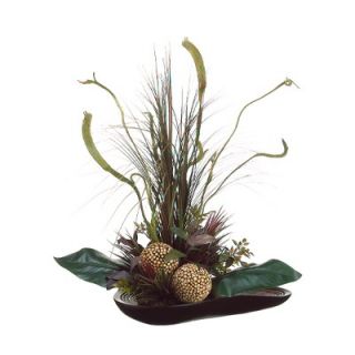 Tori Home 29 Canna, Staghorn and Grass Plant Arrangement with