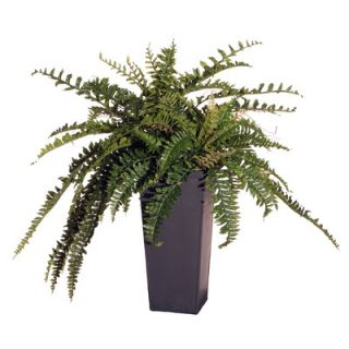 Vickerman Floral 30 Artificial Potted Double Boston Fern in Green