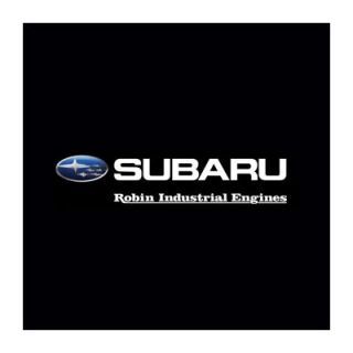 Robin Subaru Large Generator Cover (RGX4800   RGV7500, RG3200iS