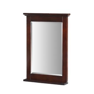 Xylem Glenayre 24 x 33 Mirror in Dark