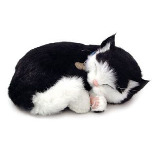 Perfect Petzzz Black and White Cat Soft Toy