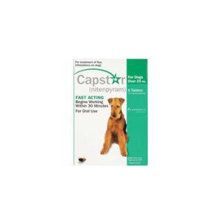 Advantage Flea Treatment for Dogs 21 55 lbs (4 Pack)