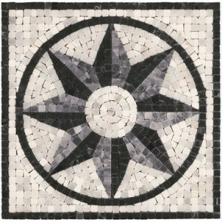 Shaw Floors Mini Star Medallion Tile Accent in Black / White   CS61A