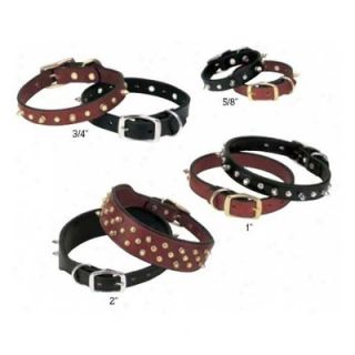 Weaver Pet Products Spikes 0.63Single Ply Collar