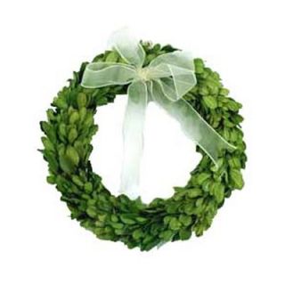 Mills Floral Boxwood 8 Wreath Round with Ribbon   8509SS1220
