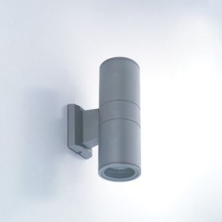Eurofase Two Light Outdoor Wall Sconce with Clear Shade in Grey