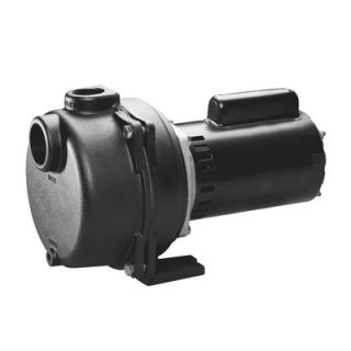 Wayne Water Systems 1.5 HP Cast Iron Lawn Sprinkling Pump