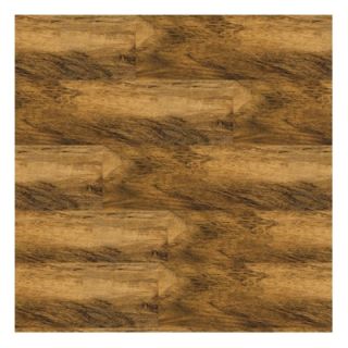 Shaw Floors Harvest 6 X 36 Vinyl Plank in Haystack   0080V 00206