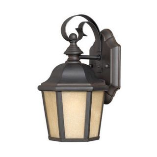 Edgewater Outdoor Wall Lantern in Museum Bronze with Energy Saving