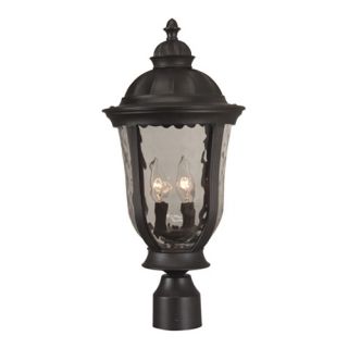 Frances Outdoor Large Post Lantern in Oiled Bronze with Hammered Clear