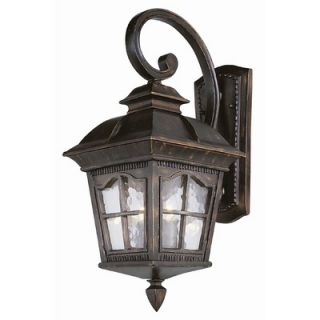TransGlobe Lighting Outdoor Wall Lantern in Antique Rust   5420