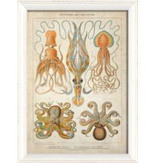 This vintage style octopus and decapods print is ready to hang as