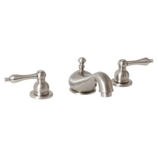 Premier Faucet Wellington Widespread Bathroom Faucet with Double