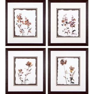 Phoenix Galleries Wildflowers Framed Prints   Wildflowers Series