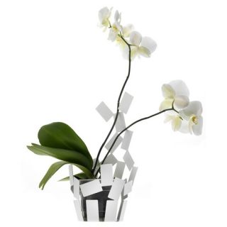 Stanza Scirocco Vase Cover in White