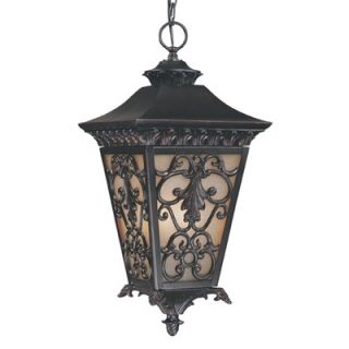 Savoy House Bientina Outdoor Hanging Lantern in Slate   5 7134 25