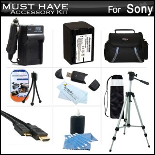  Accessory Kit For Sony HDR PJ260V, HDR PJ200 HD Handycam Camcorder