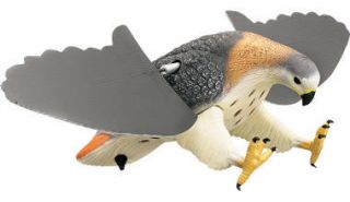 Mojo Outdoors Hawk Decoy Predator Realistic New