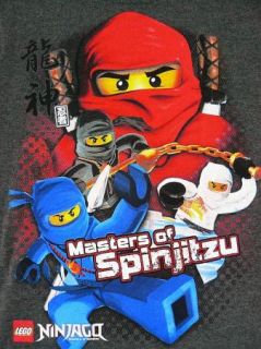 Lego Ninjago Mini Figures Masters of Spinjitzu Grey s s T Shirt Boys