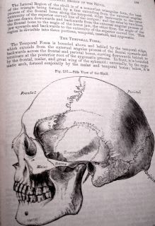 1878 Henry Gray Grays Anatomy Surgical Dissection Physiology Skeleton
