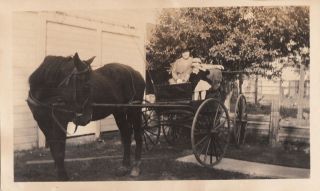 Lincoln Nebraska Horse Carriage 1916