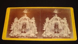Henry Ward Beecher 1875 Skeleton Leaves I L Rogers Stereoview Card