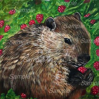 Woodchuck Giclee Painting Marmot Groundhog Raspberry Wildlife Spring