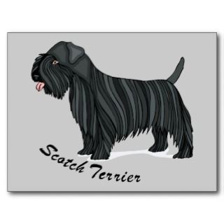 Scottish Scotch Terrier Dog Cartoon Art Postcards 
