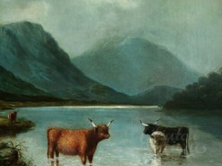  1843 1907 Scottish Oil Highland Cattle Landscape with Cows