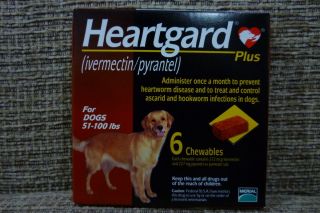 Heartgard Plus Large Dogs Brown 51 100 lbs 6 Chewables