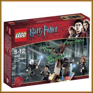 Lego The Forbidden Forest 4865 Harry Potter Lord Voldemort Hagrid
